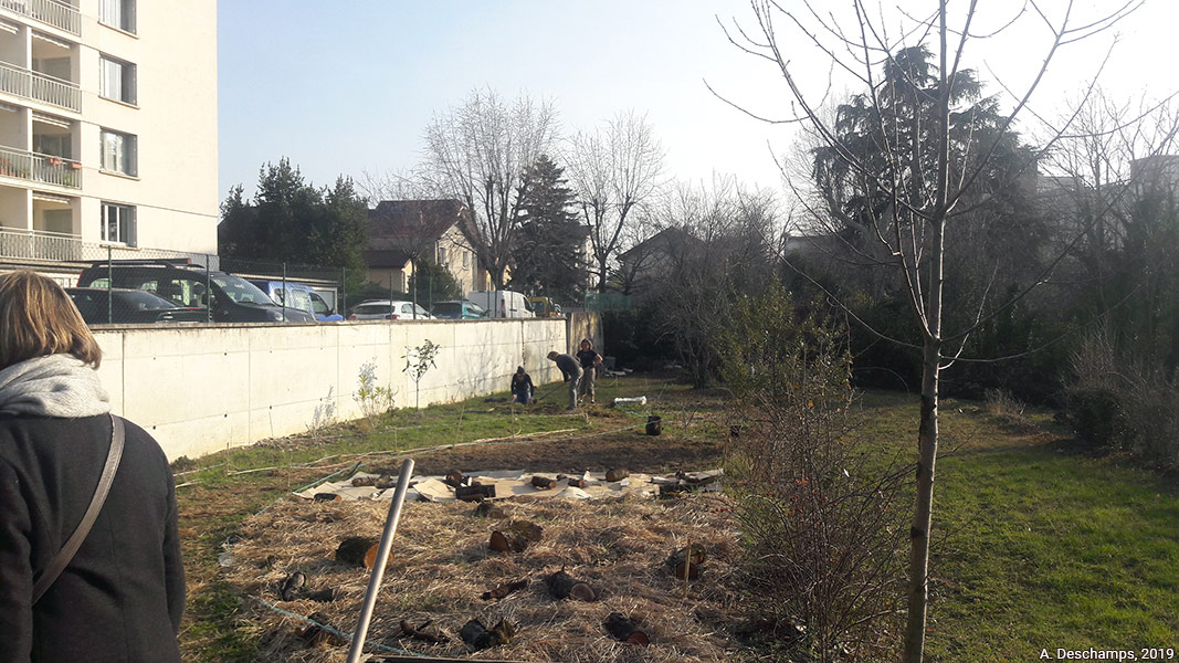 Amélie Deschamps — le jardin en herbes en février 2019 photo