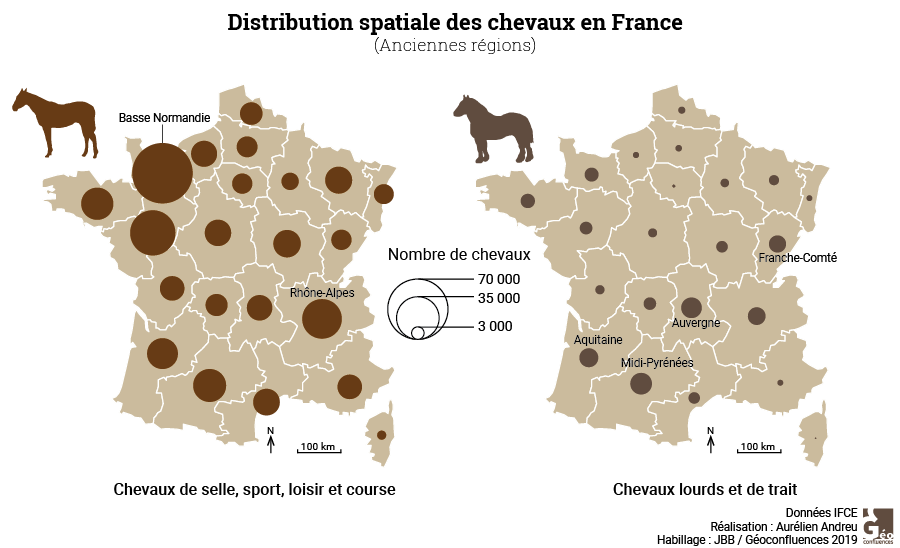 Maie Gerardot distribution spatiale des chevaux en France