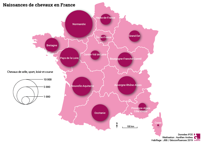 Maie Gerardot distribution spatiale des naissance des chevaux en France
