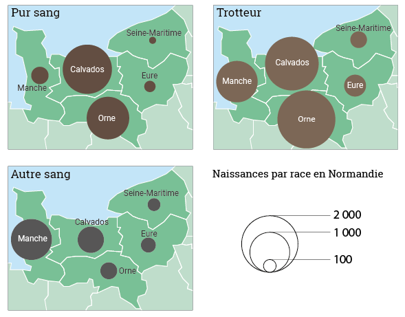 Maie Gerardot distribution spatiale des naissance des chevaux en Normandie