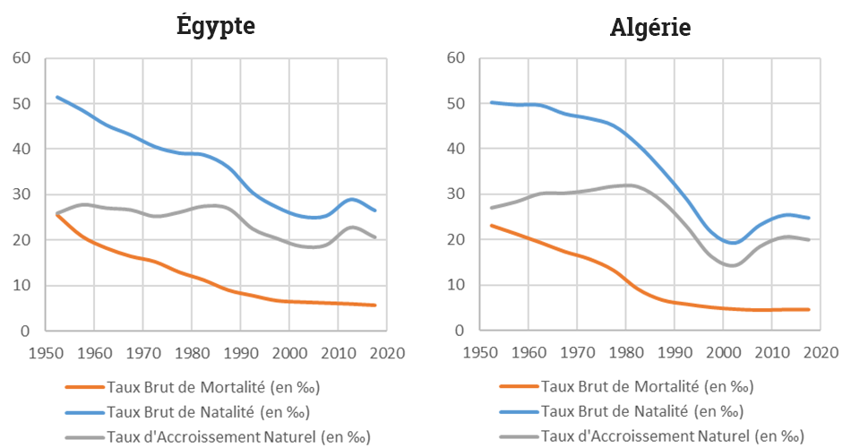 Yoann Doignon — Graphique transition démographique egypte algerie