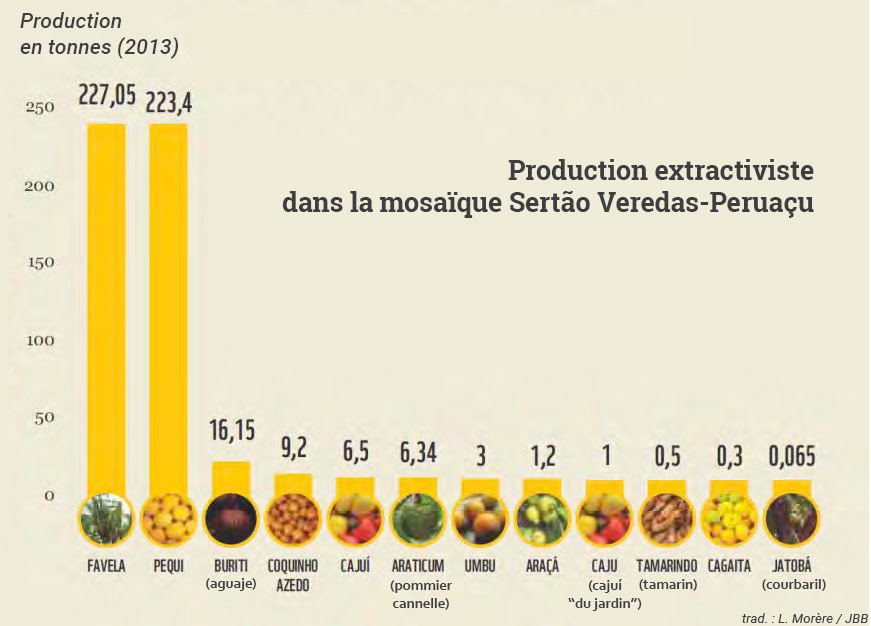 WWF-Brasil —  graphique Fruits récoltés en 2013 dans 48 communautés de la mosaïque Sertão Veredas-Peruaçu