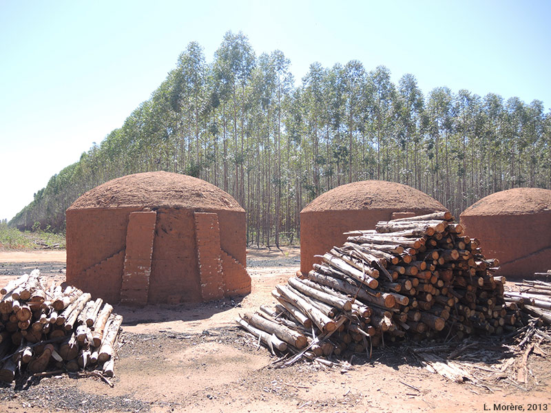 Lucie Morère — photographie Fours artisanaux pour la fabrication de charbon de bois d’eucalyptus