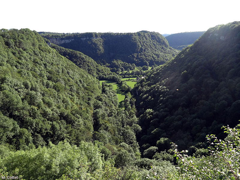 Marylise Cottet paysage Jura vallée 