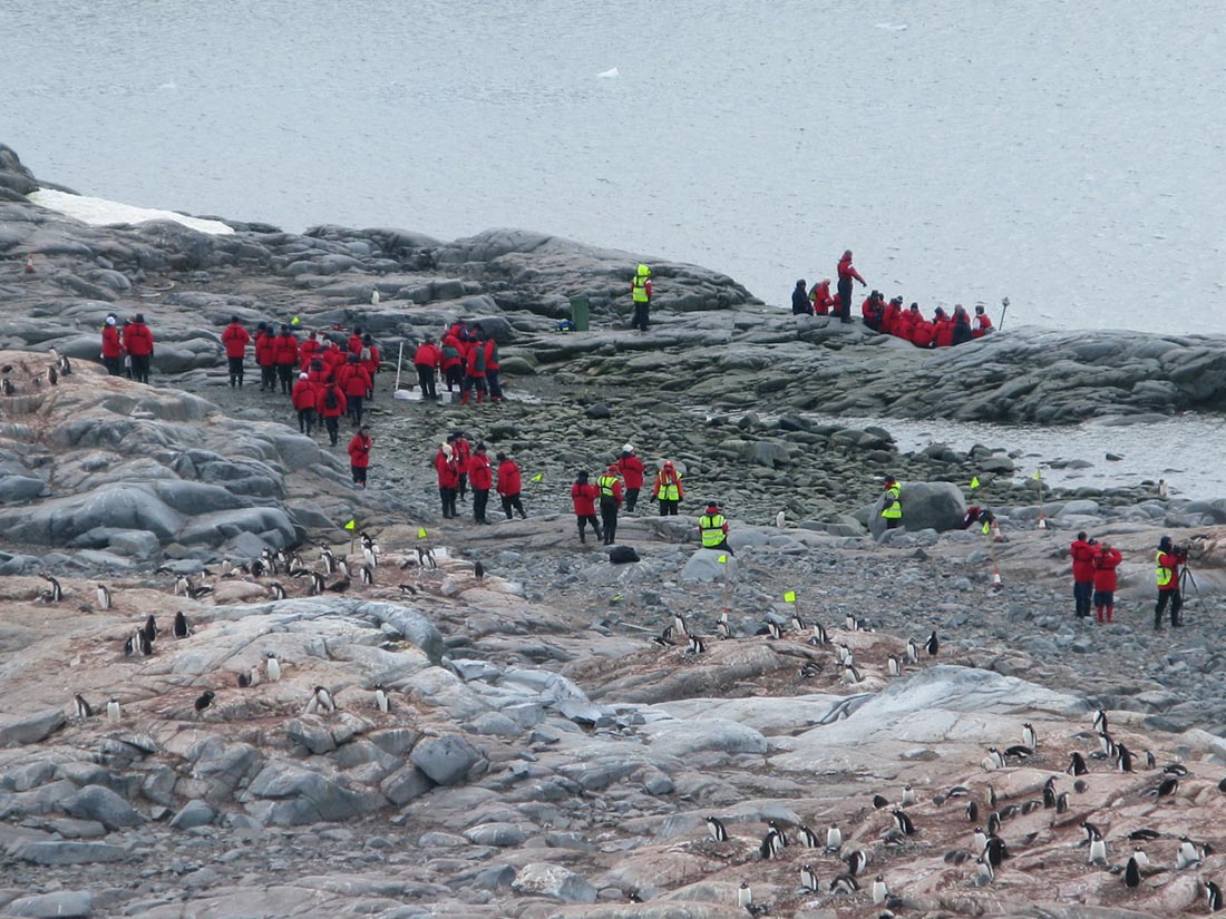 Touristes sur l’île Cuverville dans le nord de la Péninsule antarctique 