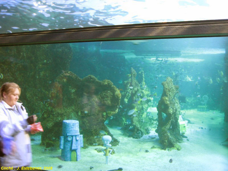 Démarrage d'aquarium eau douce - La Grande Ménagerie