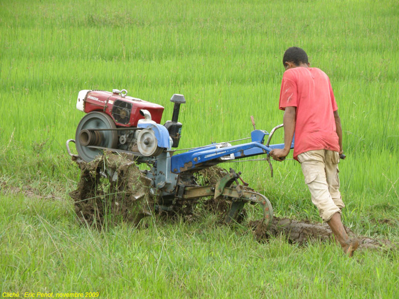 MadagPhKubotaLabour.jpg