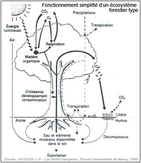 CD-Husson-Fig3-min.jpg