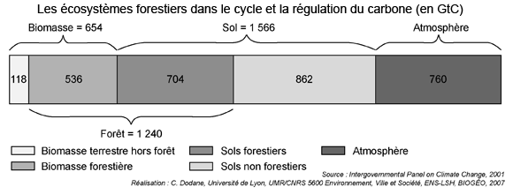CD-Ipcc-Fig2.gif