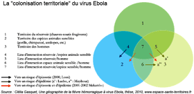 EbolaFig11-min.gif