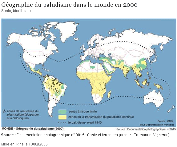 Paludisme1.gif
