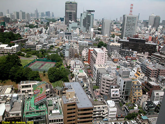 AvelineRoppongi.jpg
