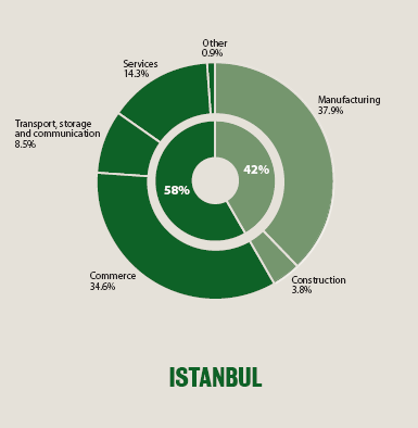 IstanbulUrbanAge4.gif