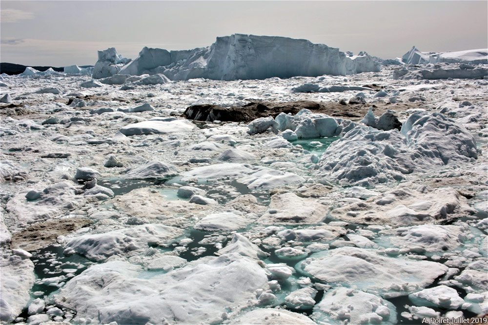Banc d'icebergs à Ilulissat