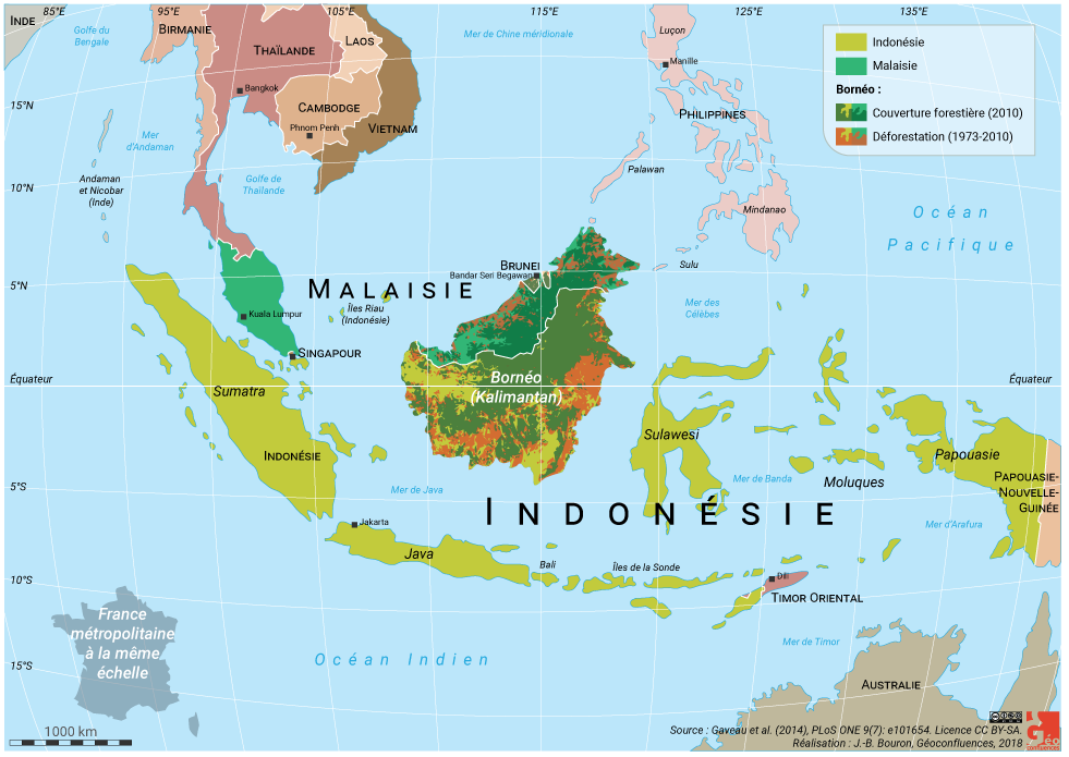 Bornéo localisation et déforestation