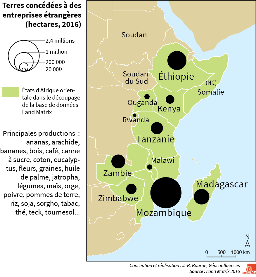Accaparement des terres en Afrique orientale
