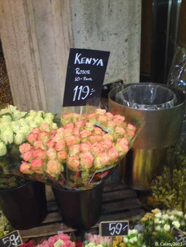Fleuriste à Stockholm vendant de roses kenyanes en février 2011
