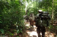 Militaires français en opération d’entraînement dans la forêt (Guyane)