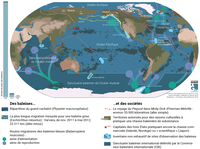 Carte de synthèse : des baleines et des sociétés (HD)