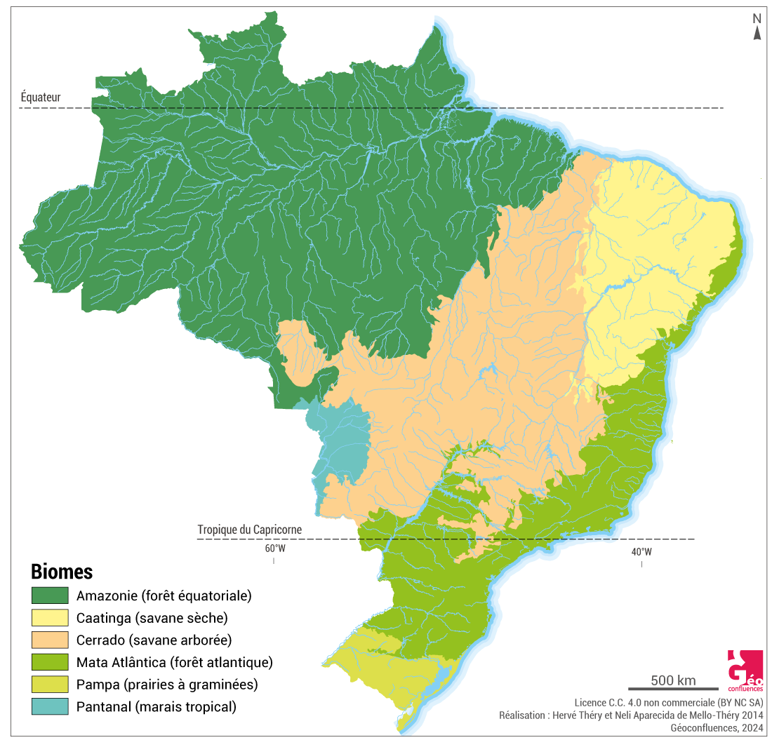 Biomes du Brésil carte