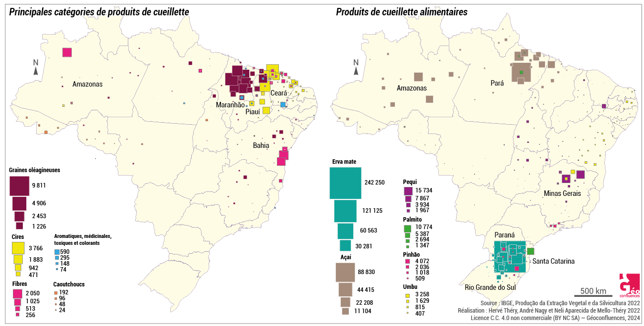 Cueillette au Brésil carte