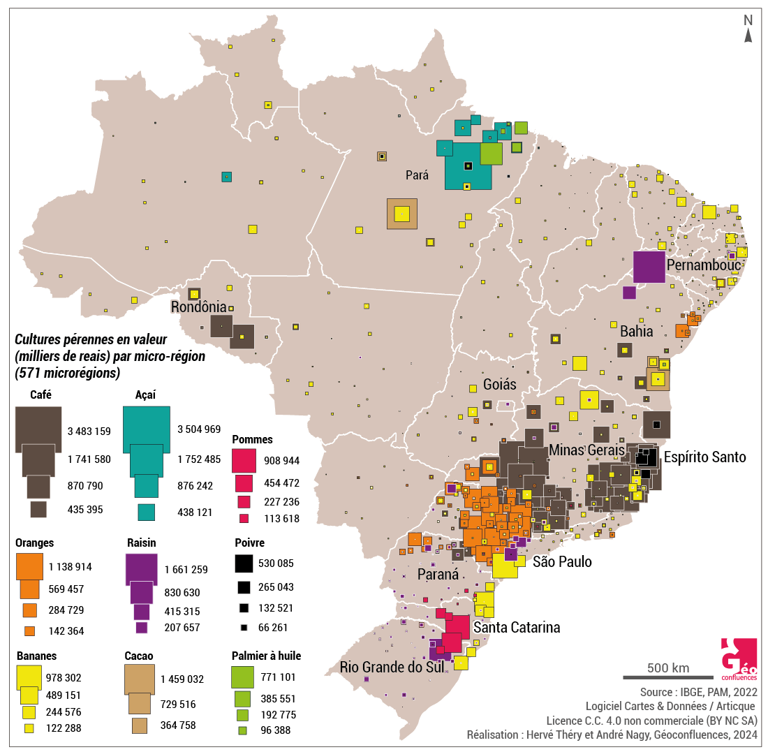 Cultures permanentes en 2022, en valeur (Brésil)