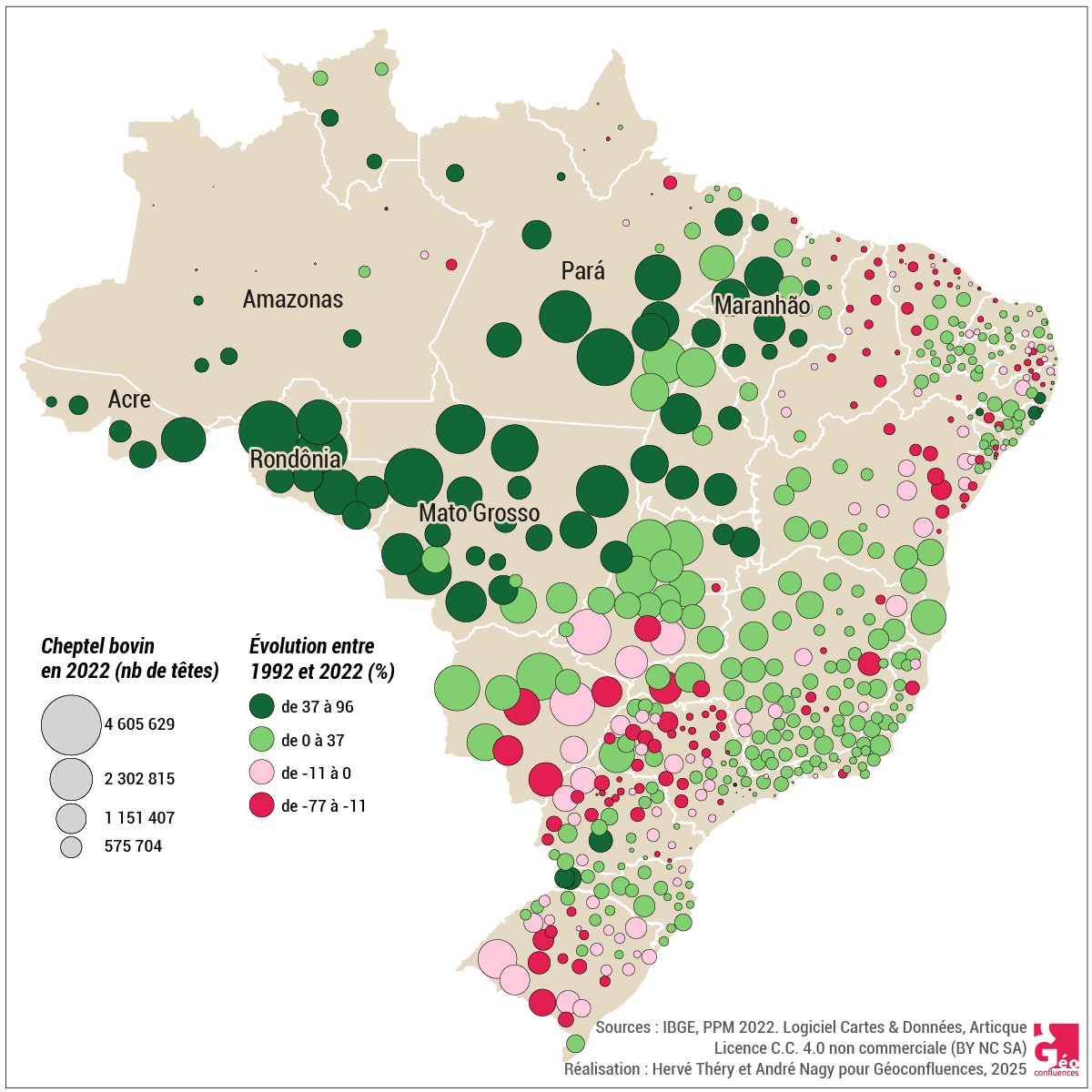 Importance du cheptel bovin en 2022 et son évolution entre 1992 et 2022 (Brésil)