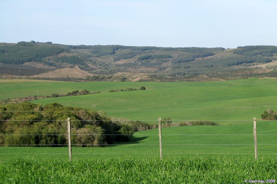 3. Pierre Gautreau 2009 A