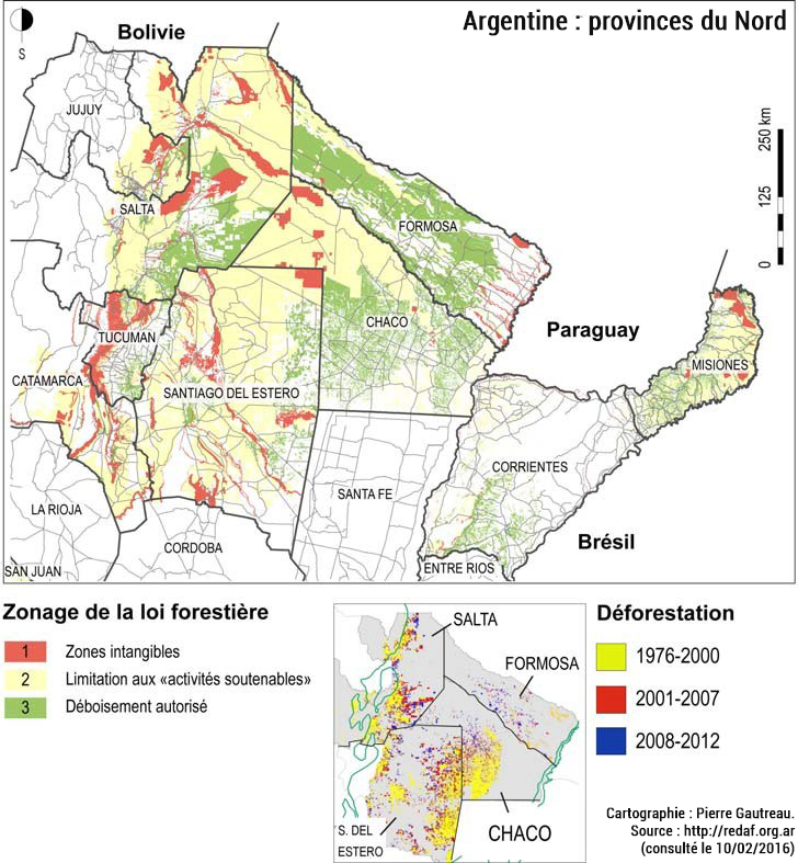 foret déforestation argentine