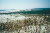 Dune de la presqu'île des Coures à Nida (Lituanie)
