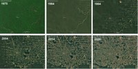 Buritis 1975–2020 (Rondônia, Brésil)