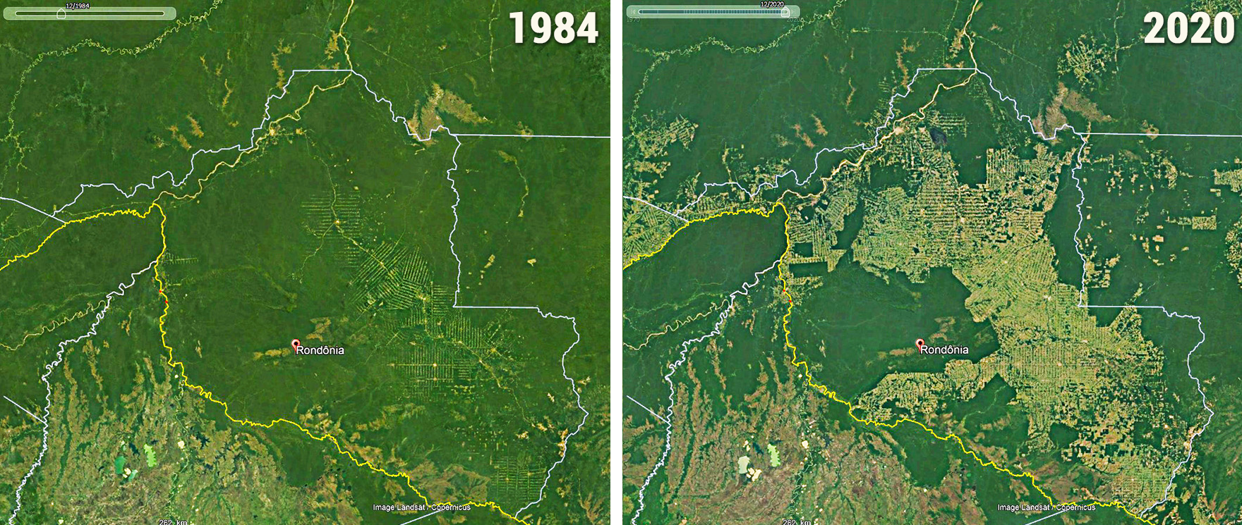 Colonisation agraire et fronts pionniers au Rondonia