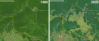 Rondônia 1984-2020 : expansion de l'occupation à partir de la route (Brésil)