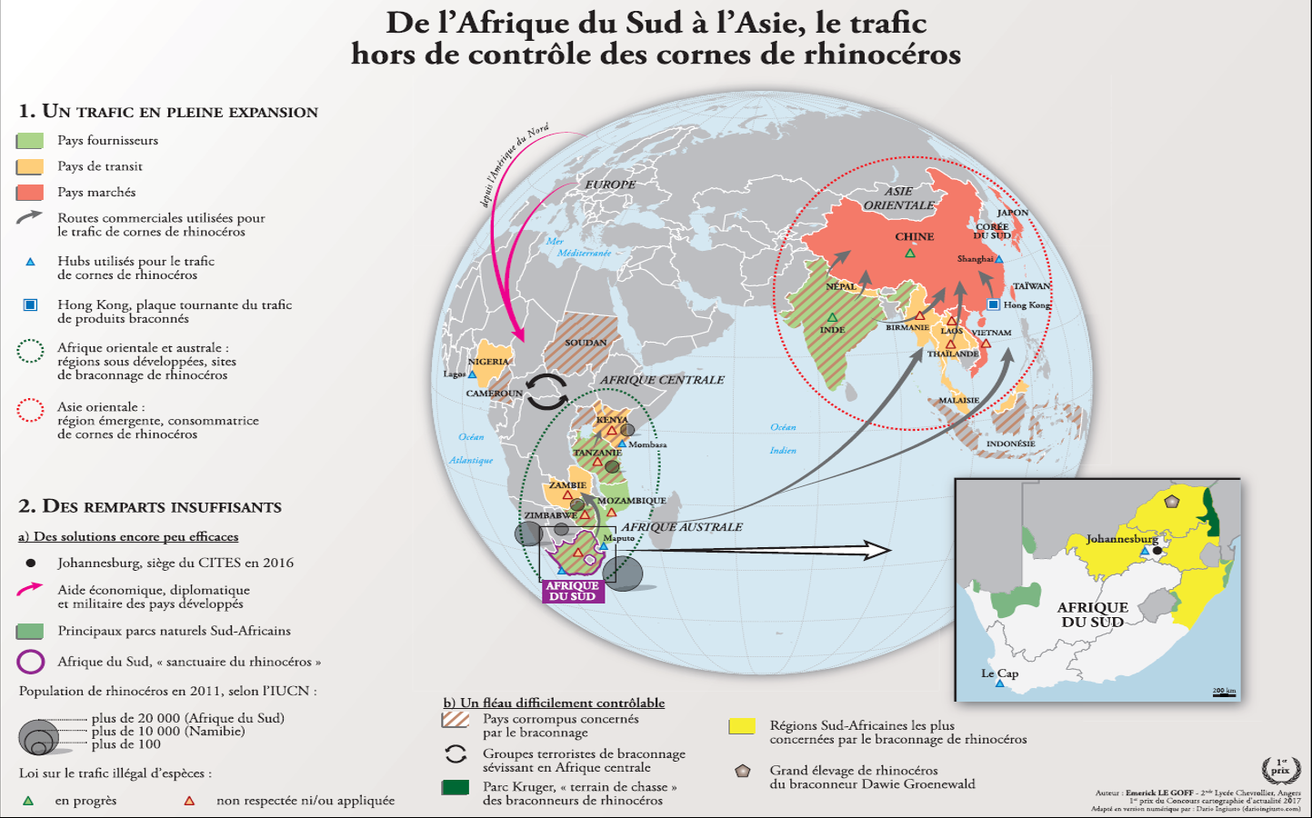 De l'Afrique du Sud à l'Asie, le trafic hors de contrôle des cornes de rhinocéros