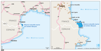 Localisation de la réserve naturelle marine de Cerbère-Banyuls à l'échelle régionale et locale