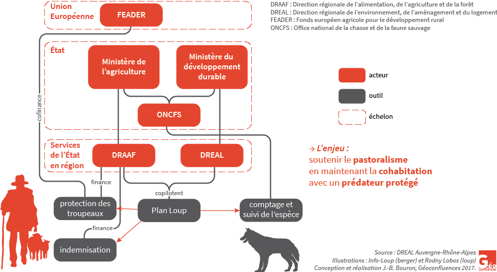 Plan Loup - schéma organigramme