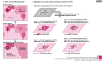 Agrégation de la grille communale de densité à l’échelle des EPCI (version rose)