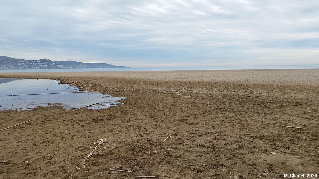 La Muga au niveau de son embouchure théorique, le 2 janvier 2024, Catalogne, Espagne (2/4)