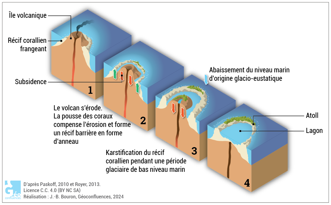 Formation d'un atoll