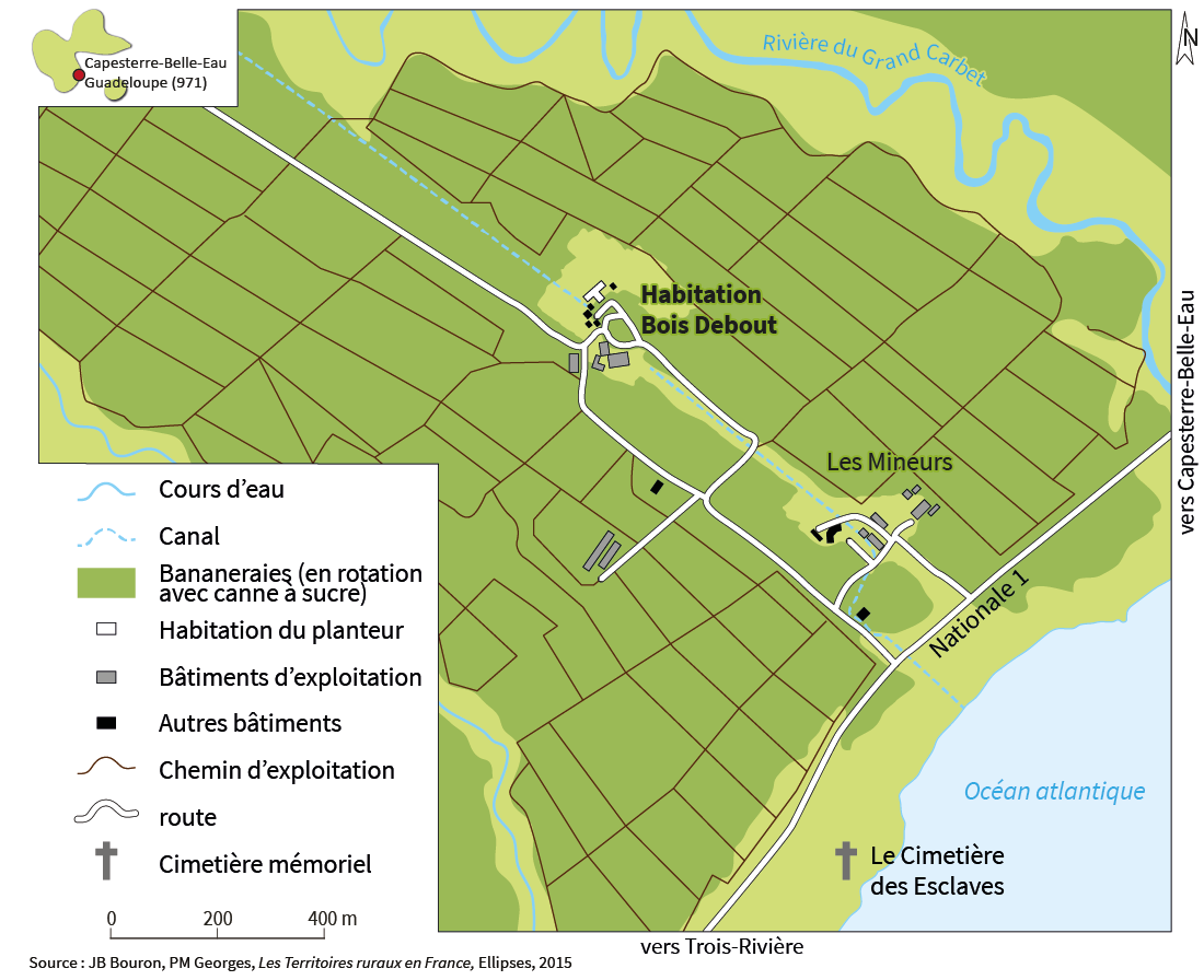 plantation en guadeloupe