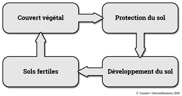biostasie schéma organigramme Étienne Cossart