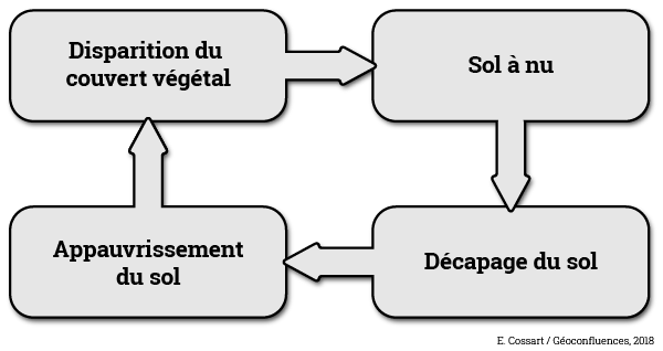 rhexistasie schéma organigramme Étienne Cossart