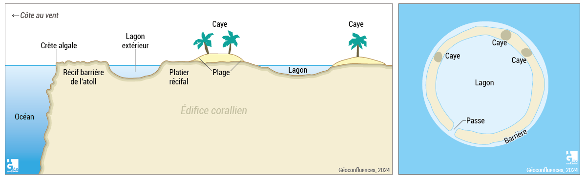 Constructions coralliennes, récifs coralliens, plan et coupe