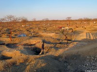 Ruée vers l'or : site d'orpaillage illégal en zone sahélienne, au Fitri, dans le Tchad central