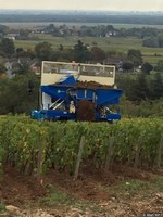 Le remontage de la terre sur une parcelle de vigne (Mercurey, Bourgogne)