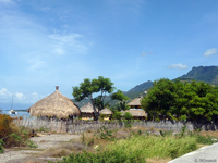 Ecolodge Barry (Timor Oriental)