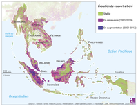 Évolution du couvert forestier en Asie du Sud-Est entre 2001 et 2019