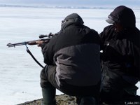 Évolution des pratiques de chasse (Nunavik, Canada)