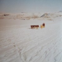 L'utilisation des chiens de traineaux pour chasser ou pêcher durant l'hiver au Groenland (Danemark)