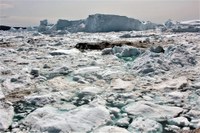 Banc d'icebergs d'Ilulissat (Groenland)